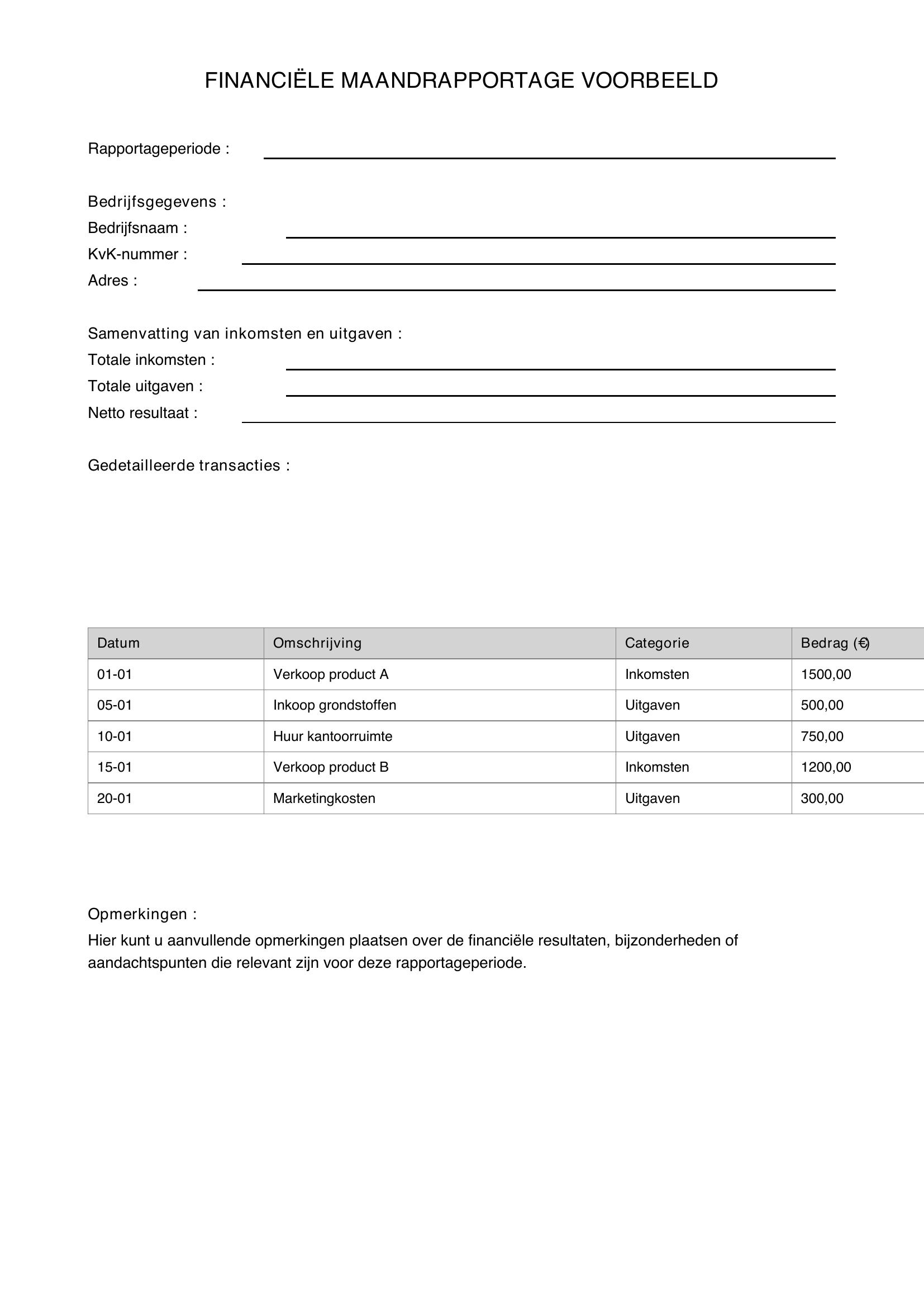 Financiele Maandrapportage Voorbeeld